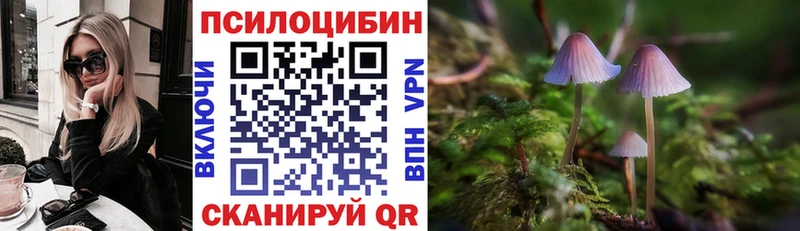 это как зайти blacksprut ССЫЛКА Навашино Галлюциногенные грибы MAGIC MUSHROOMS